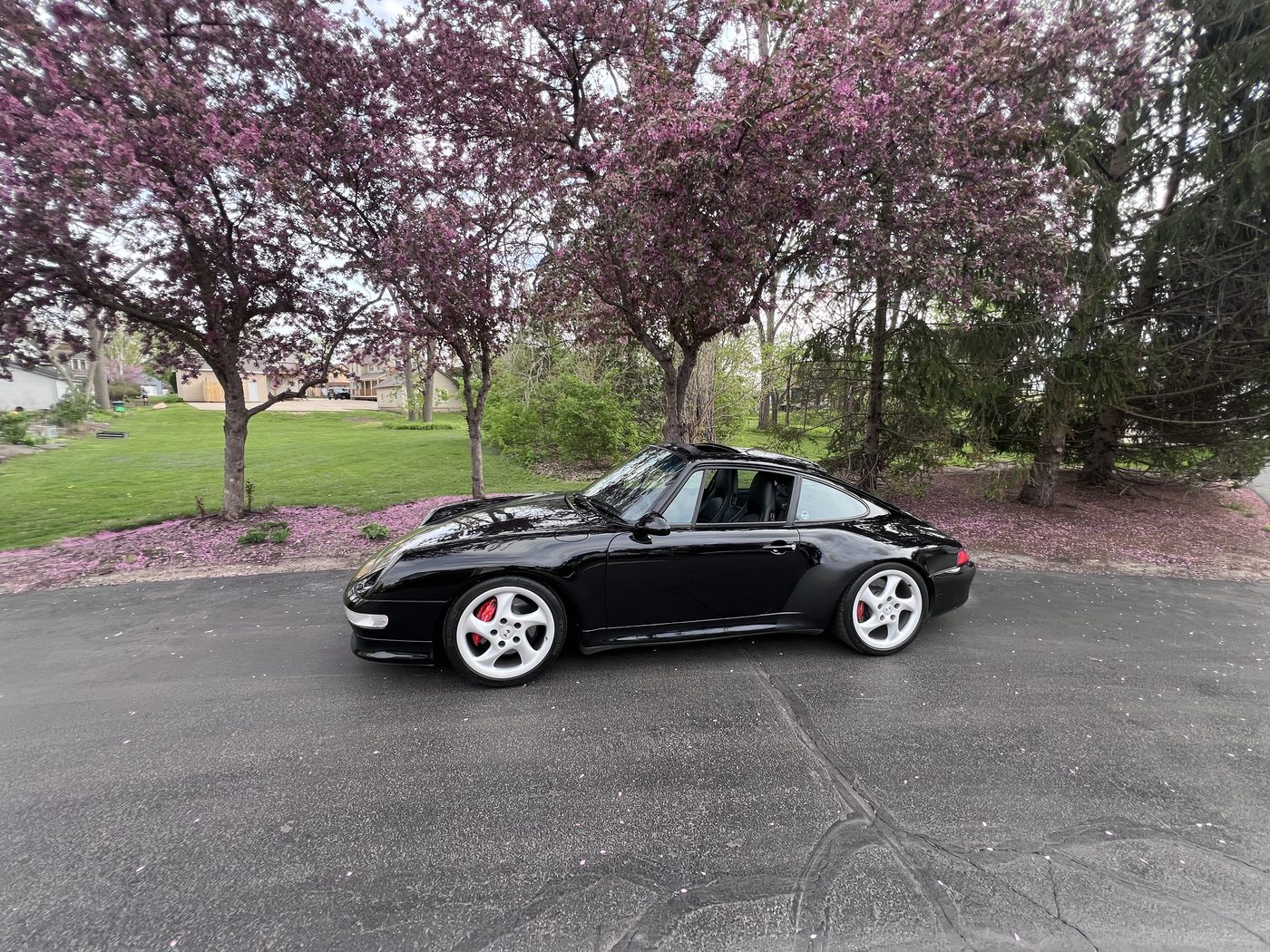 1997 Porsche 911 Carrera 4S, black, on a drive under flowering trees