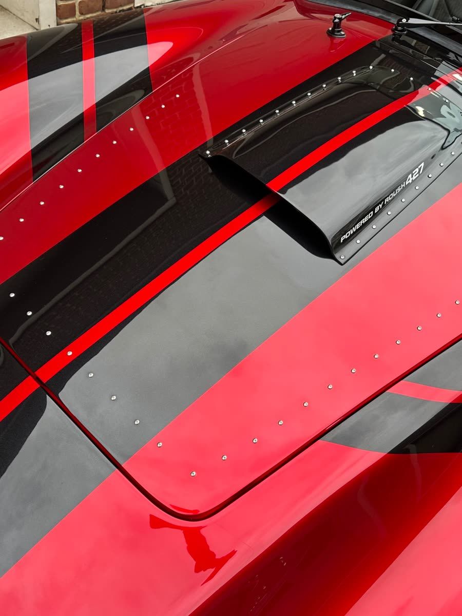 Photograph 4: stripes across the bonnet