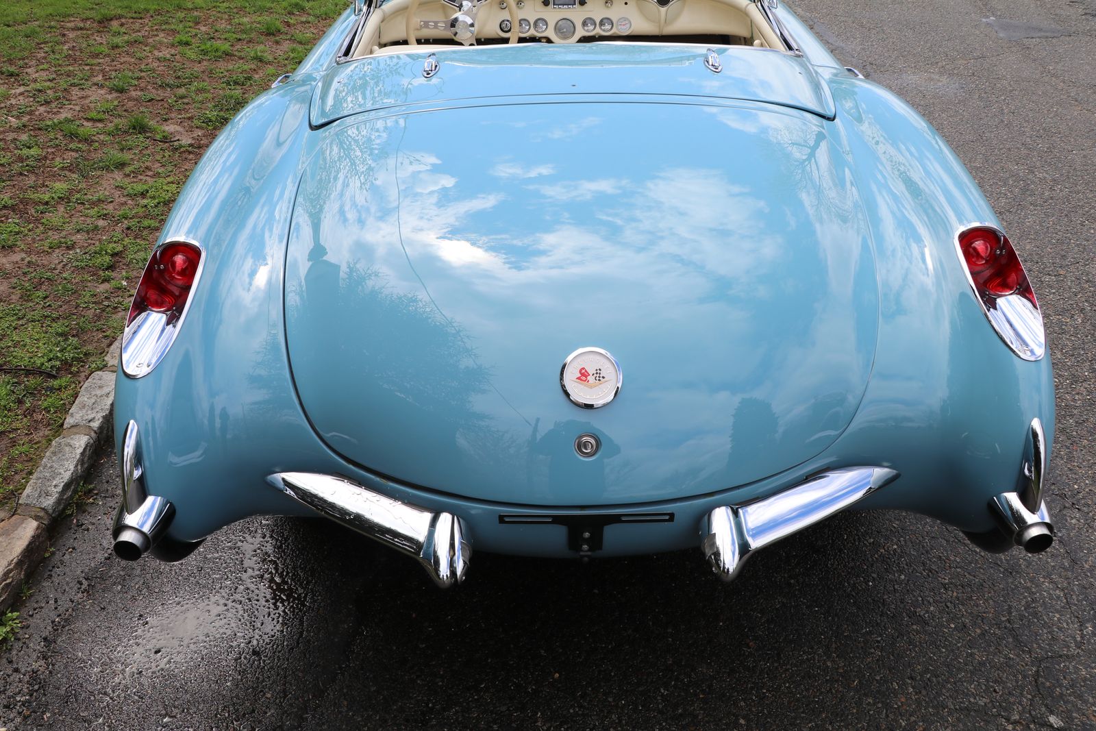 Photograph 4: tail