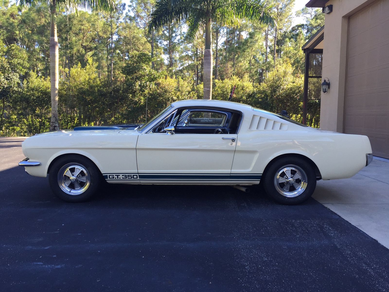 1965 Shelby GT350, profile, driver's side